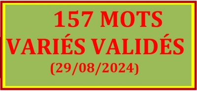 TABLEAU BILINGUE DES 157 MOTS VALID&Eacute;S - VAITAHU - 25_29/08/2024