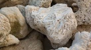 Tekao no Haipuka - L&eacute;gende de Haipuka - Ua Pou